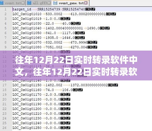 历年12月22日实时转录软件中文应用与发展深度解析