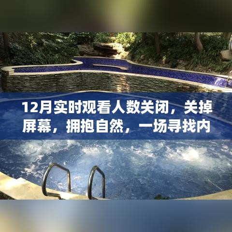 十二月心灵之旅，关掉屏幕，与自然共舞，追寻内心平静