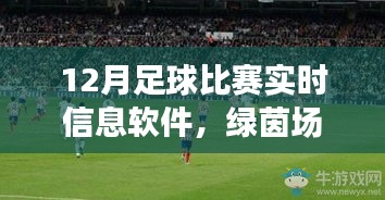 12月足球比赛实时信息软件，绿茵场上的数据风暴及其发展影响