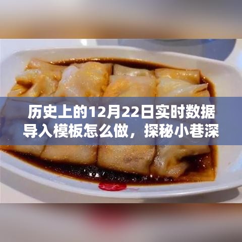 历史上的十二月二十二日实时数据导入模板制作与小巷特色小店探秘指南