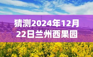 2024年12月22日兰州西果园实时路况预测与了解详细步骤指南