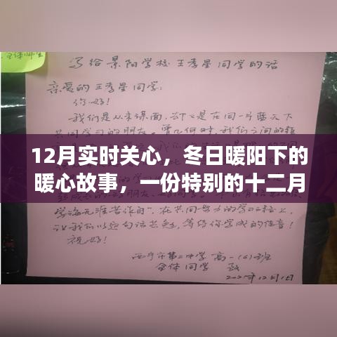 冬日暖阳下的特别关心，实时关怀与暖心故事在十二月汇聚