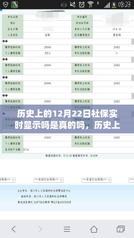 历史上的12月22日社保实时显示情况探究，真实性揭秘