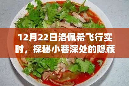 洛佩希飞行日盛宴，探秘小巷深处的隐藏美食天堂，12月22日实时记录