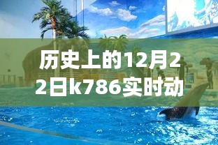 历史上的12月22日K786启程，心灵之旅的奇妙冒险日纪实动态