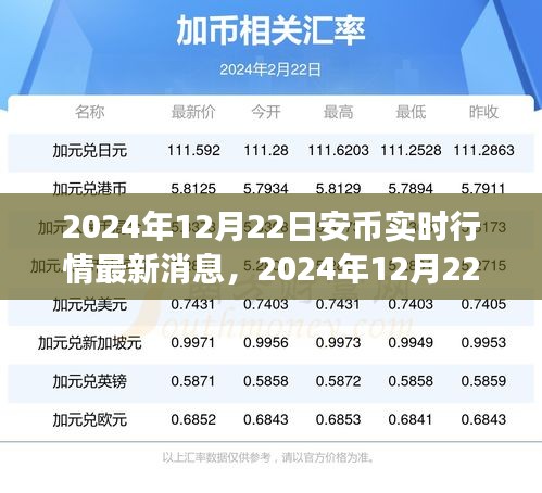 2024年12月22日安币实时行情解析与解读指南