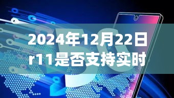 R11实时耳返温馨时光，共度2024年12月22日的特别故事