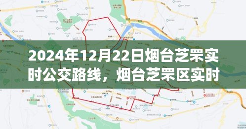 2024年烟台芝罘区实时公交路线调整与优化展望