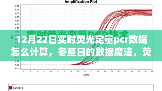 冬至日的荧光定量PCR数据魔法，背后的计算与暖心故事