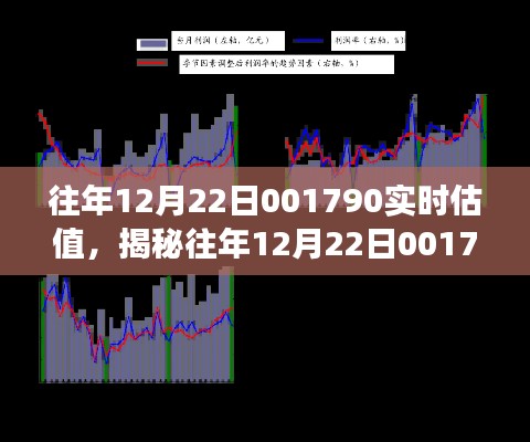 揭秘往年12月22日001790实时估值，深度解析与市场洞察报告发布