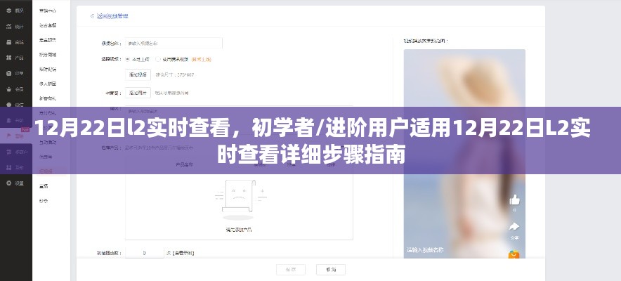 12月22日L2实时查看步骤指南，适合初学者与进阶用户的详细教程