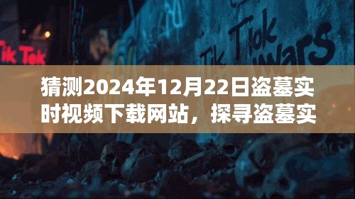 探寻盗墓实时视频下载网站，2024年的探索与反思