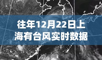 上海台风实时数据监控，科技护航无忧生活，历年12月22日台风数据回顾