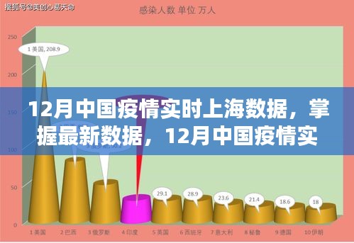 12月中国疫情实时上海数据概览，最新数据查询指南