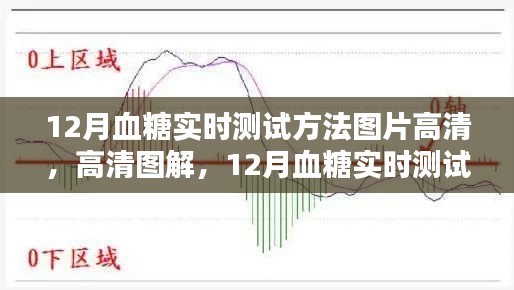 12月血糖实时测试方法与产品深度解析，高清图解及评测