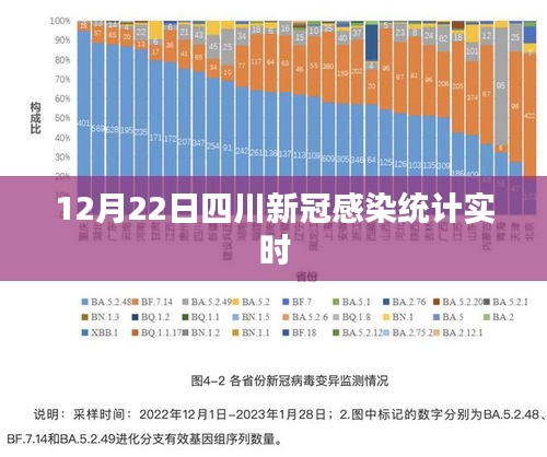 四川新冠感染实时统计（最新数据）