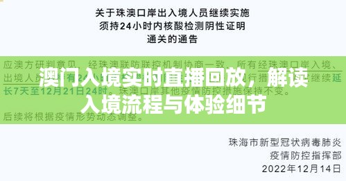 澳门入境直播解读，流程与体验细节回顾