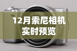 索尼相机12月实时预览功能介绍