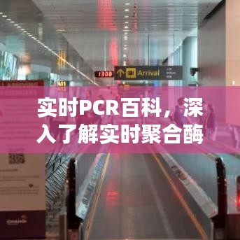 实时PCR技术百科，深入了解聚合酶链反应（2024年最新版）