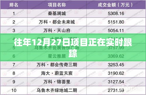 年终项目实时跟踪进展报告