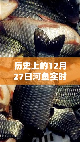 河鱼实时价格行情更新，历史日期下的市场走势