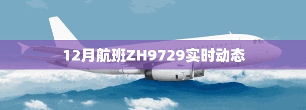 建议，ZH9729航班实时动态追踪，十二月最新动态信息。