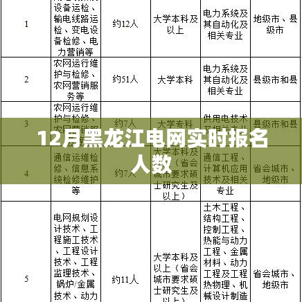 黑龙江电网实时报名人数统计（最新数据）