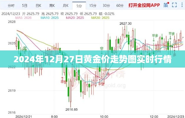 2024年黄金行情走势图，最新实时行情分析