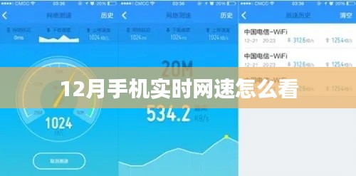 如何查看手机实时网速？网速监控指南