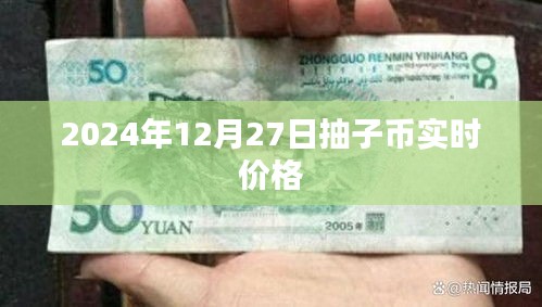 子币实时价格查询（最新数据，更新至2024年）