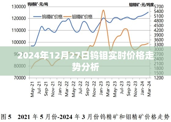 钨钼价格走势分析，最新实时动态报告