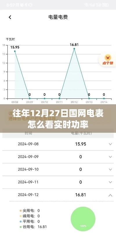 国网电表实时功率查看方法