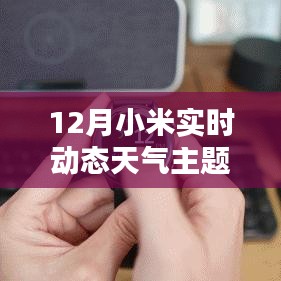 小米实时天气动态更新主题（十二月版）