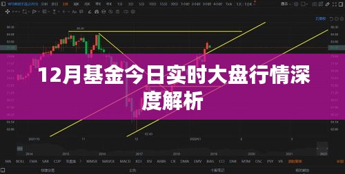 基金今日行情大盘深度解析