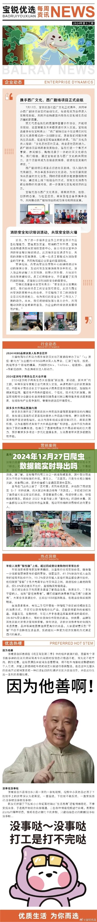 爬虫数据实时导出，2024年12月27日能否实现？