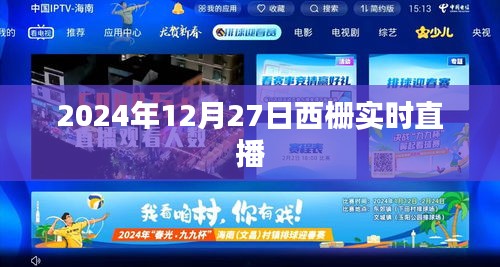 2024年12月30日 第3页