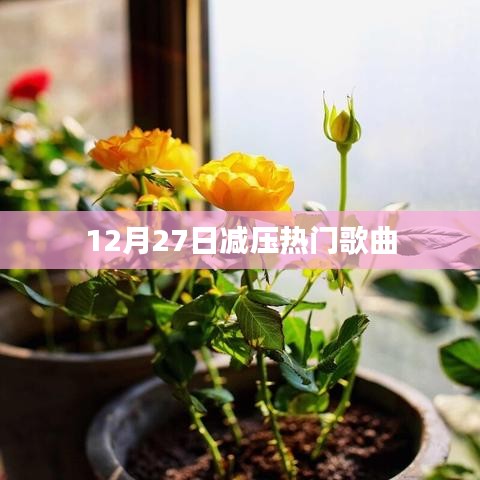 12月27日减压必备热门歌曲大盘点