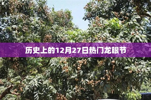 热门龙眼节的历史回顾与纪念