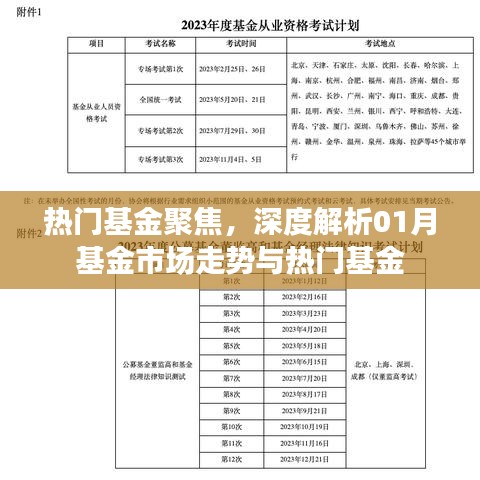 热门基金市场深度解析，一月份走势与聚焦热门基金