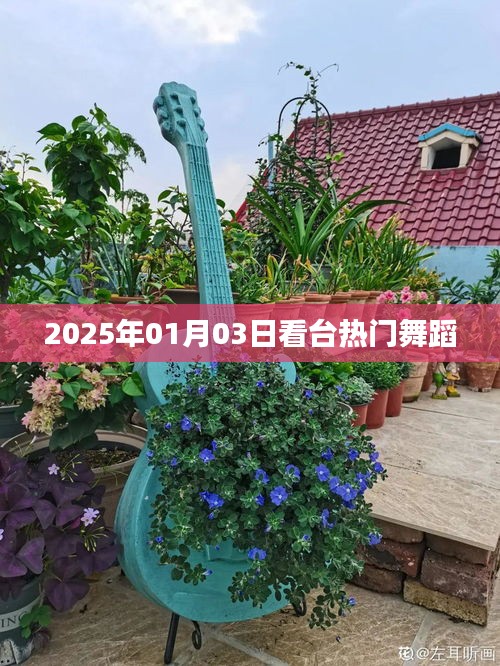 2025年元旦后看台热门舞蹈盛宴