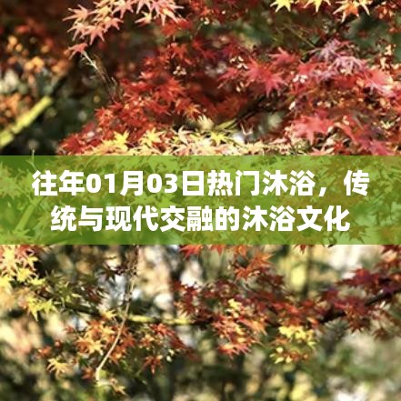 传统与现代交融的沐浴文化盛宴，历年一月三日热门沐浴回顾