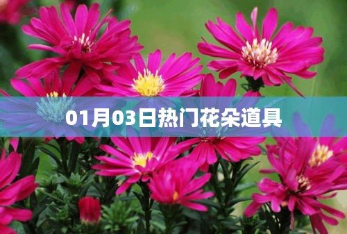 热门花朵道具，最新流行趋势解析