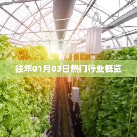 行业概览，历年一月初热门行业动态解析