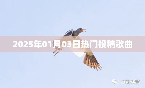 2025年最热歌曲投稿榜单揭晓