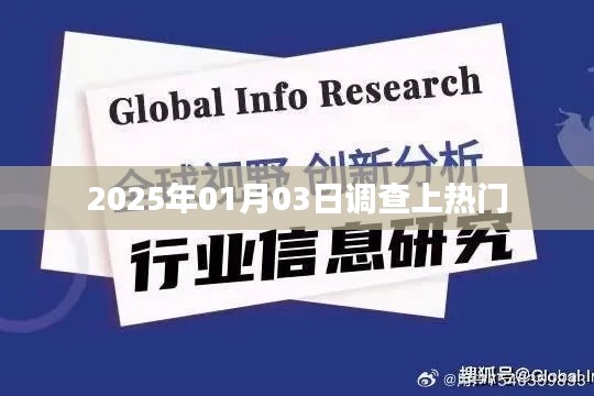 2025年热门调查日期揭晓，聚焦热议话题