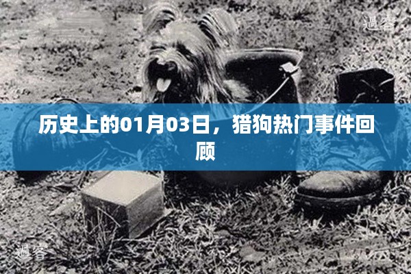 猎狗热门事件回顾，历史上的1月3日