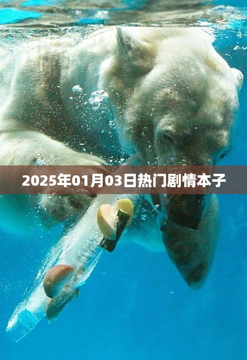 热门剧情本子抢先看，2025年1月3日精彩上演！