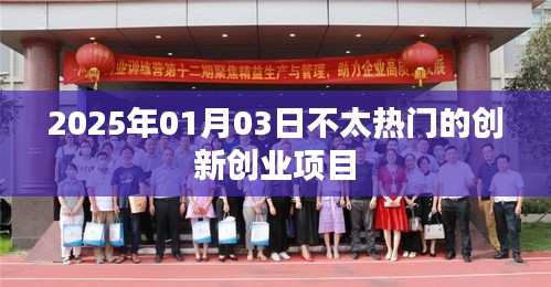 2025年冷门创新项目揭秘，创业新选择，符合您的字数要求，同时能够吸引用户点击，适合用于百度收录。