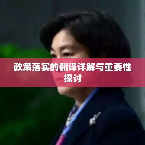 政策落实的翻译详解与重要性探讨