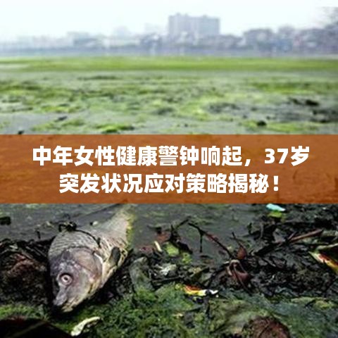 中年女性健康警钟响起，37岁突发状况应对策略揭秘！